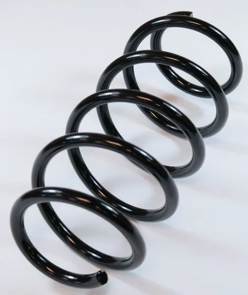 Suspension Spring (58669)