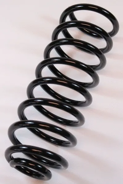 Suspension Spring (62686)