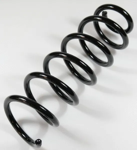 Suspension Spring (62803)