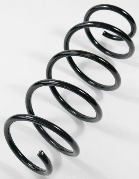 Suspension Spring (67367)