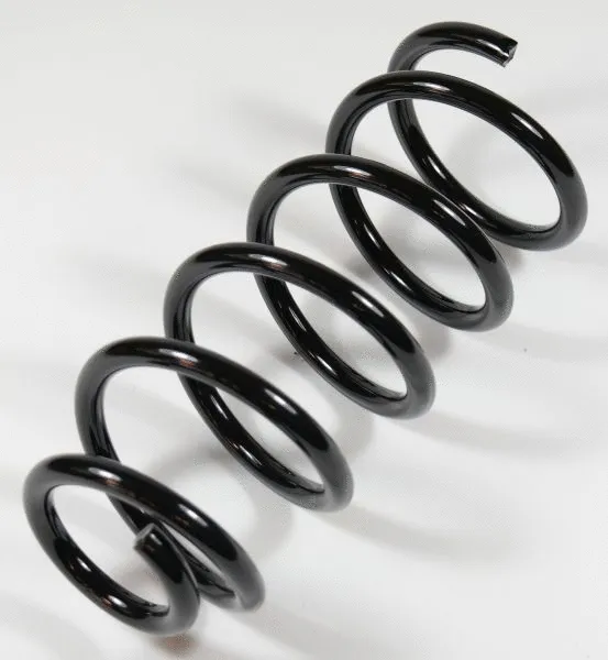 Suspension Spring (63725)