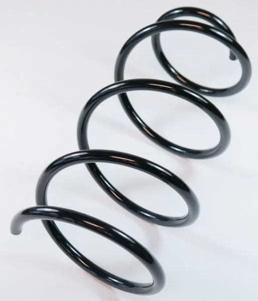 Suspension Spring (62893)