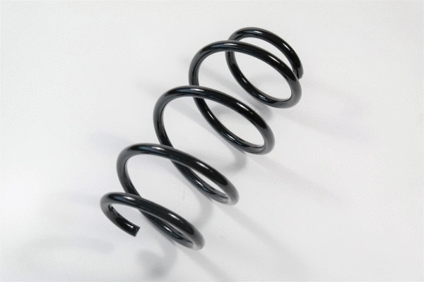 Suspension Spring (67495)