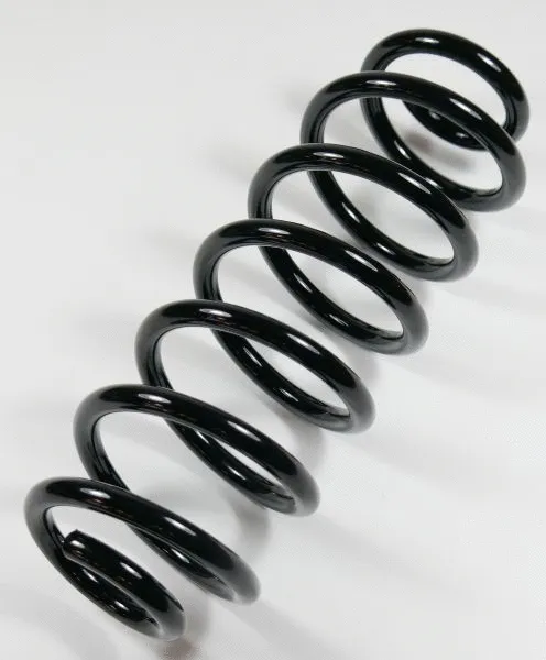 Suspension Spring (58656)
