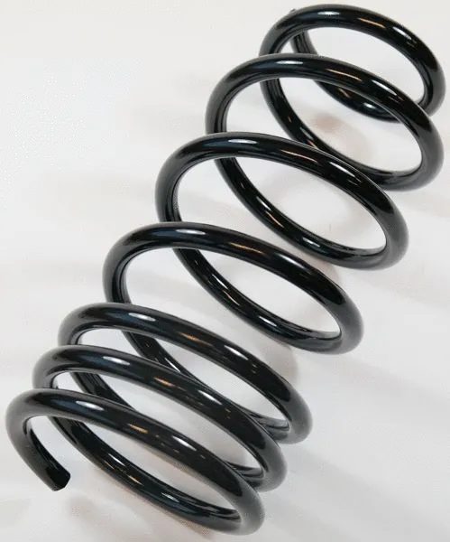 Suspension Spring (62876)