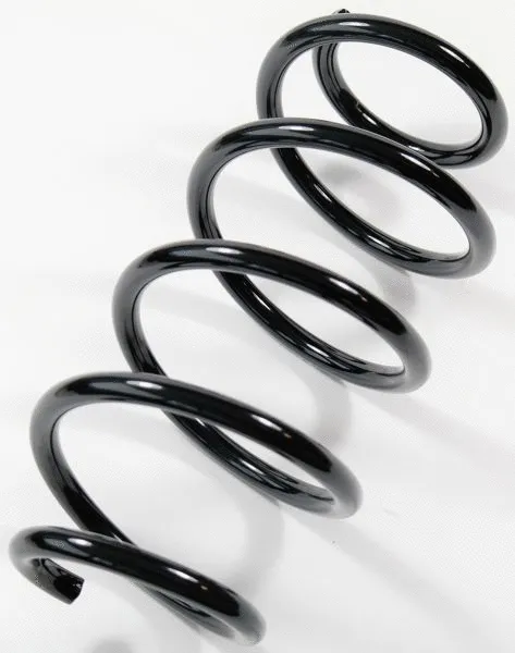 Suspension Spring (63858)