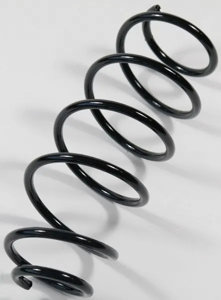 Suspension Spring (66700)