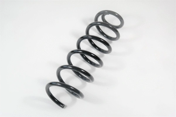 Suspension Spring (66780)
