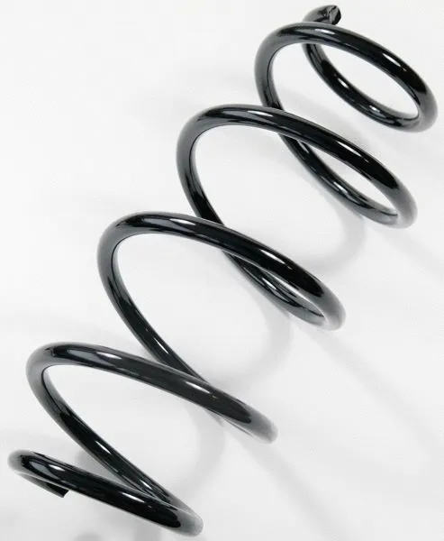 Suspension Spring (67215)