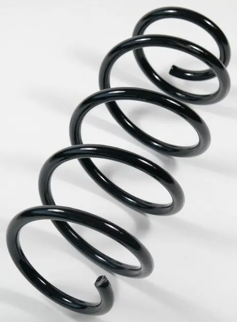 Suspension Spring (66656)