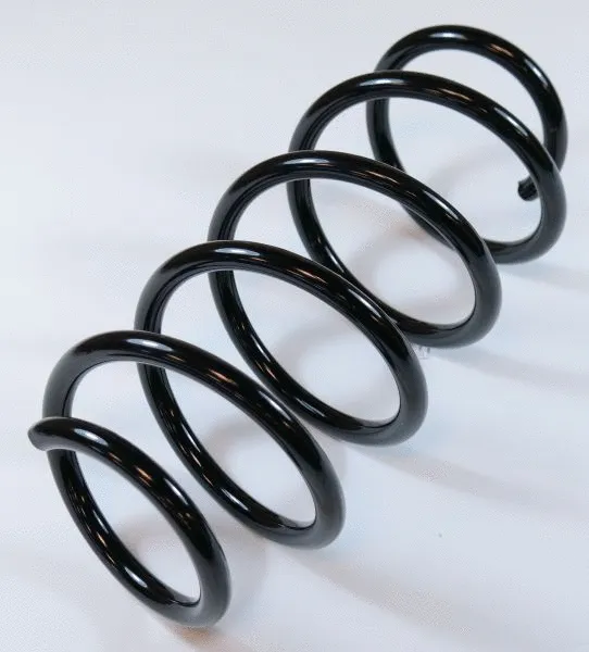 Suspension Spring (66677)