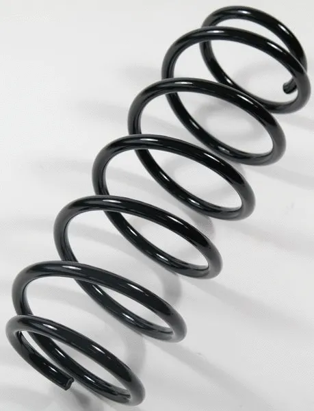Suspension Spring (63267)