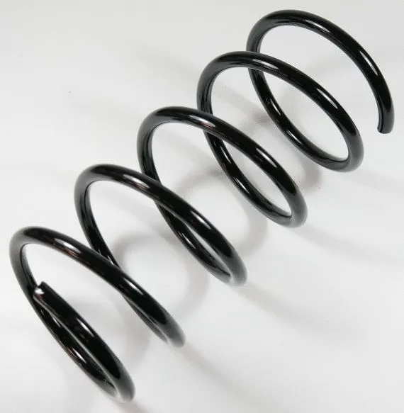 Suspension Spring (65871)