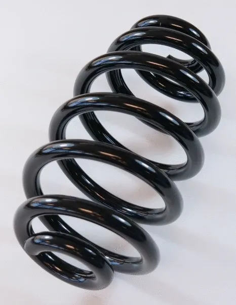 Suspension Spring (64211)