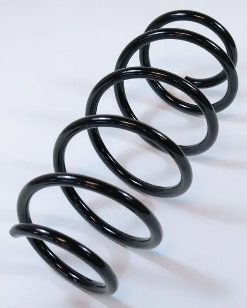 Suspension Spring (66758)