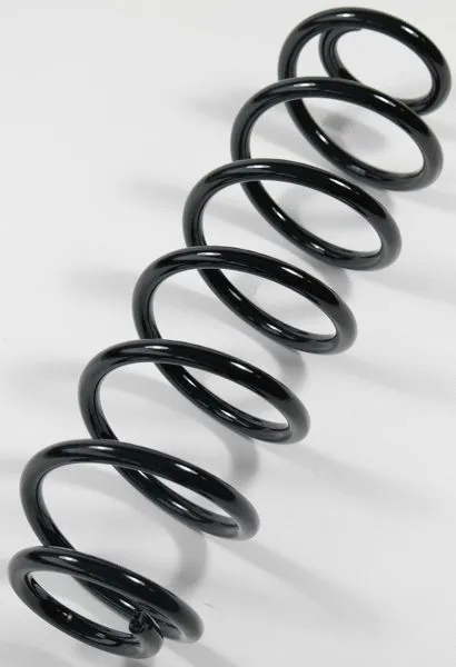 Suspension Spring (66502)