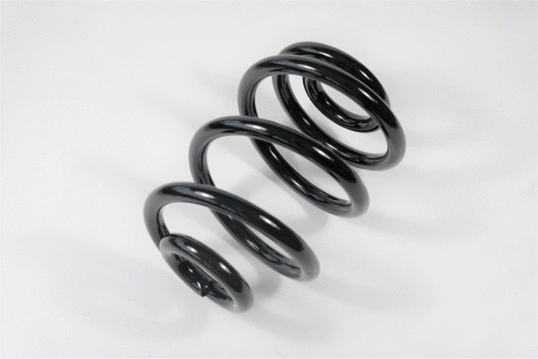 Suspension Spring (63610)