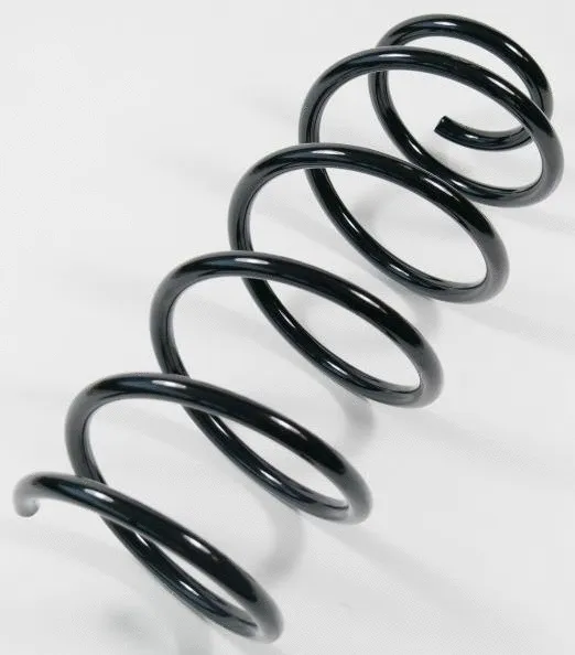 Suspension Spring (67273)