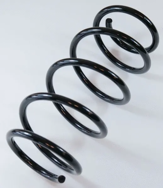 Suspension Spring (66794)