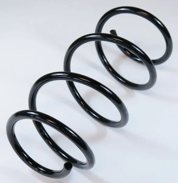 Suspension Spring (66801)