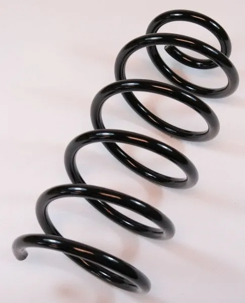 Suspension Spring (66896)