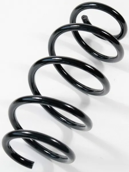 Suspension Spring (67266)