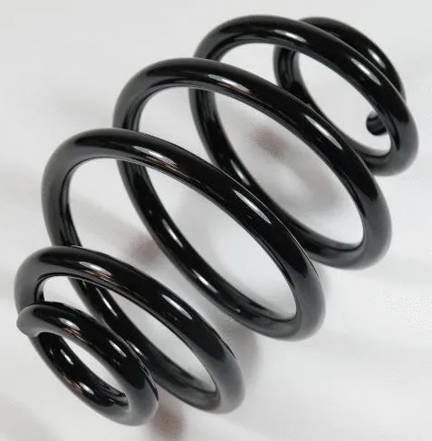 Suspension Spring (63111)