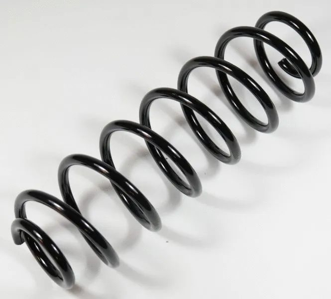 Suspension Spring (63750)