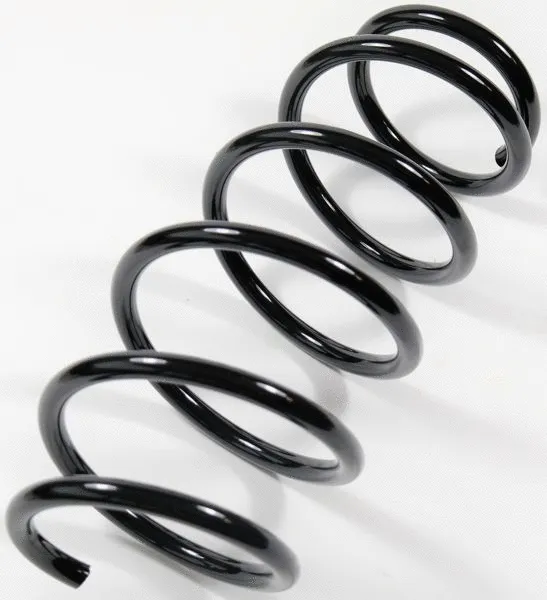 Suspension Spring (67164)