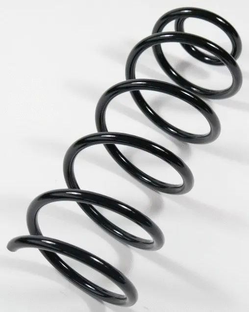 Suspension Spring (66736)