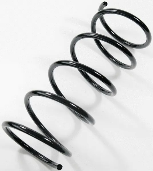 Suspension Spring (66503)