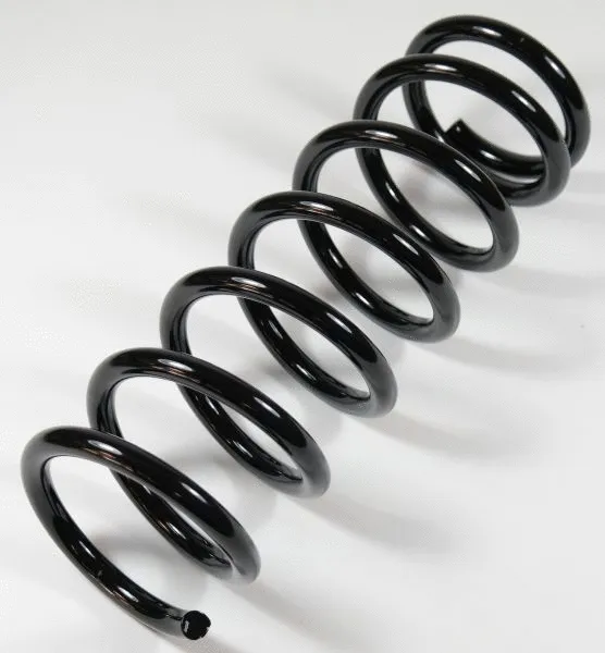 Suspension Spring (62729)