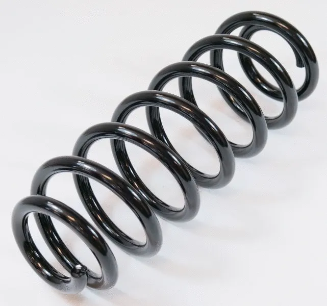 Suspension Spring (67330)