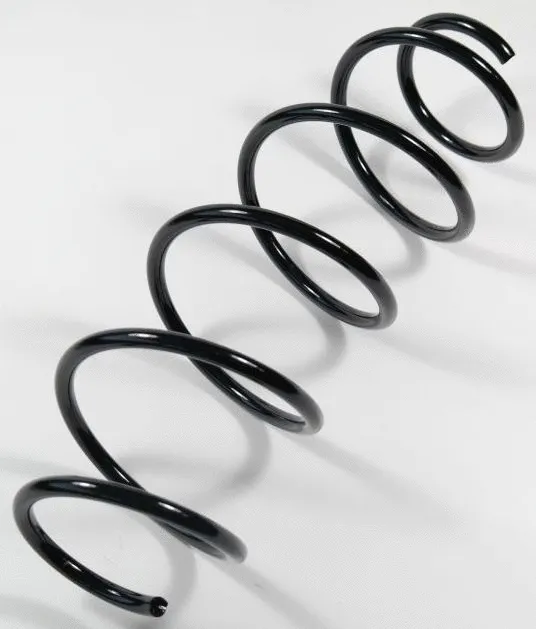 Suspension Spring (66368)