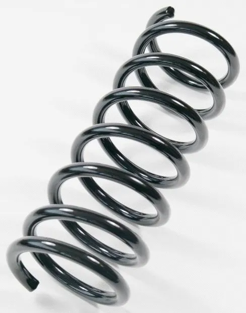 Suspension Spring (67211)