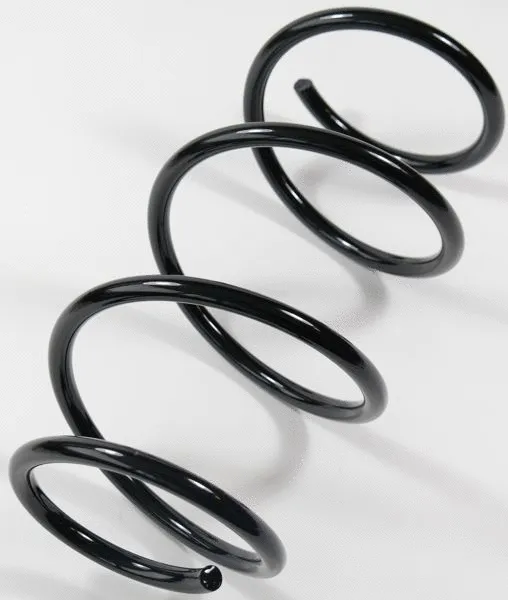 Suspension Spring (66867)