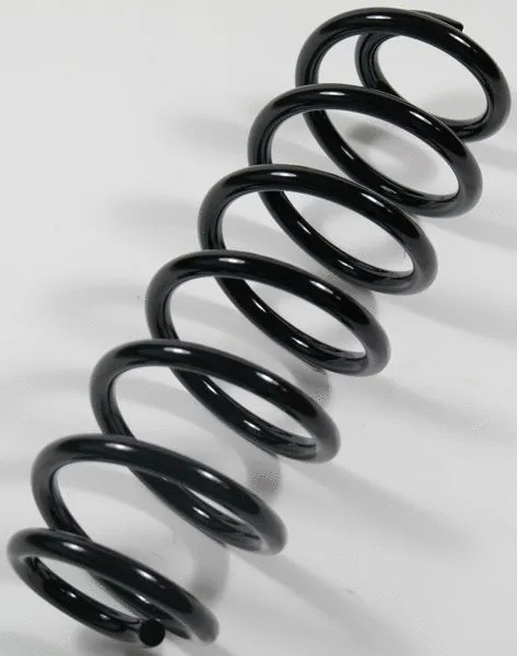 Suspension Spring (63322)