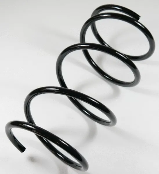 Suspension Spring (61020)