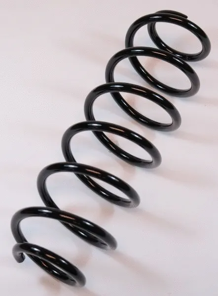 Suspension Spring (64485)