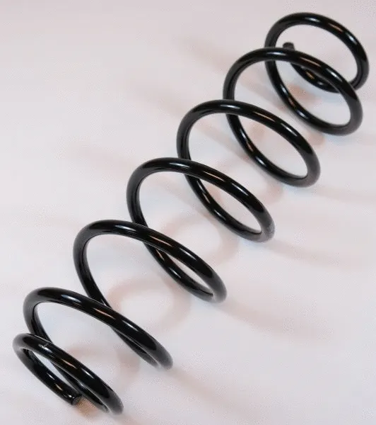 Suspension Spring (66810)