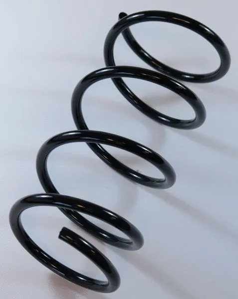 Suspension Spring (62919)