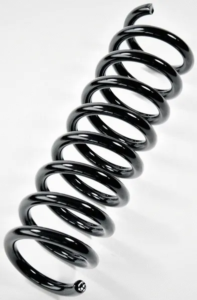 Suspension Spring (66900)