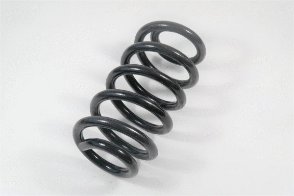 Suspension Spring (58753)