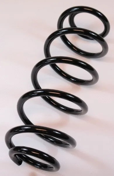 Suspension Spring (66701)