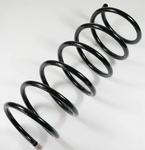 Suspension Spring (64155)