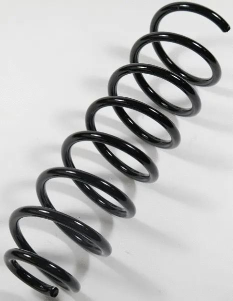 Suspension Spring (67016)