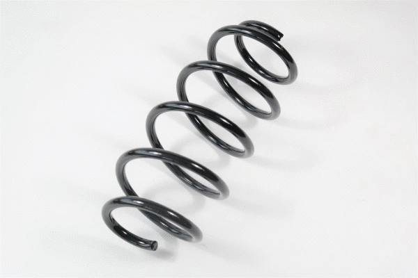 Suspension Spring (67408)