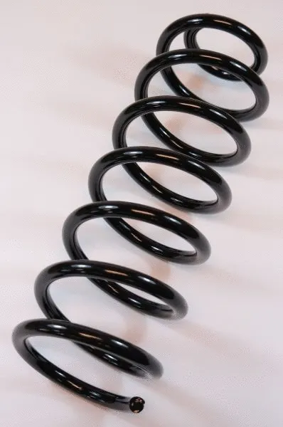 Suspension Spring (64382)
