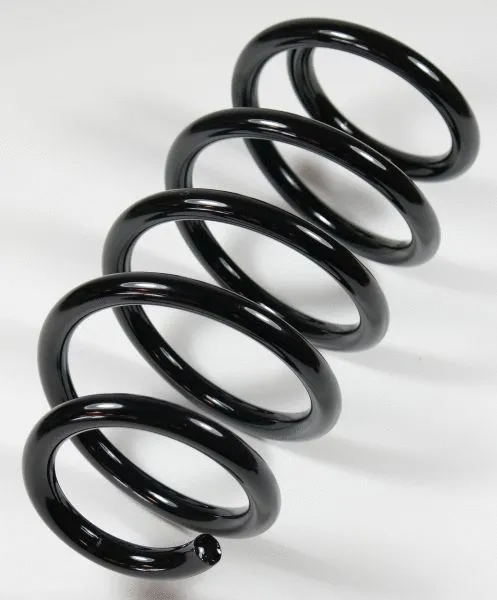 Suspension Spring (64314)