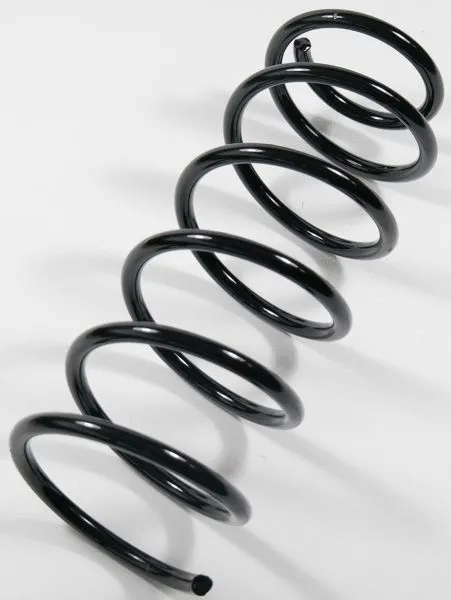 Suspension Spring (62956)